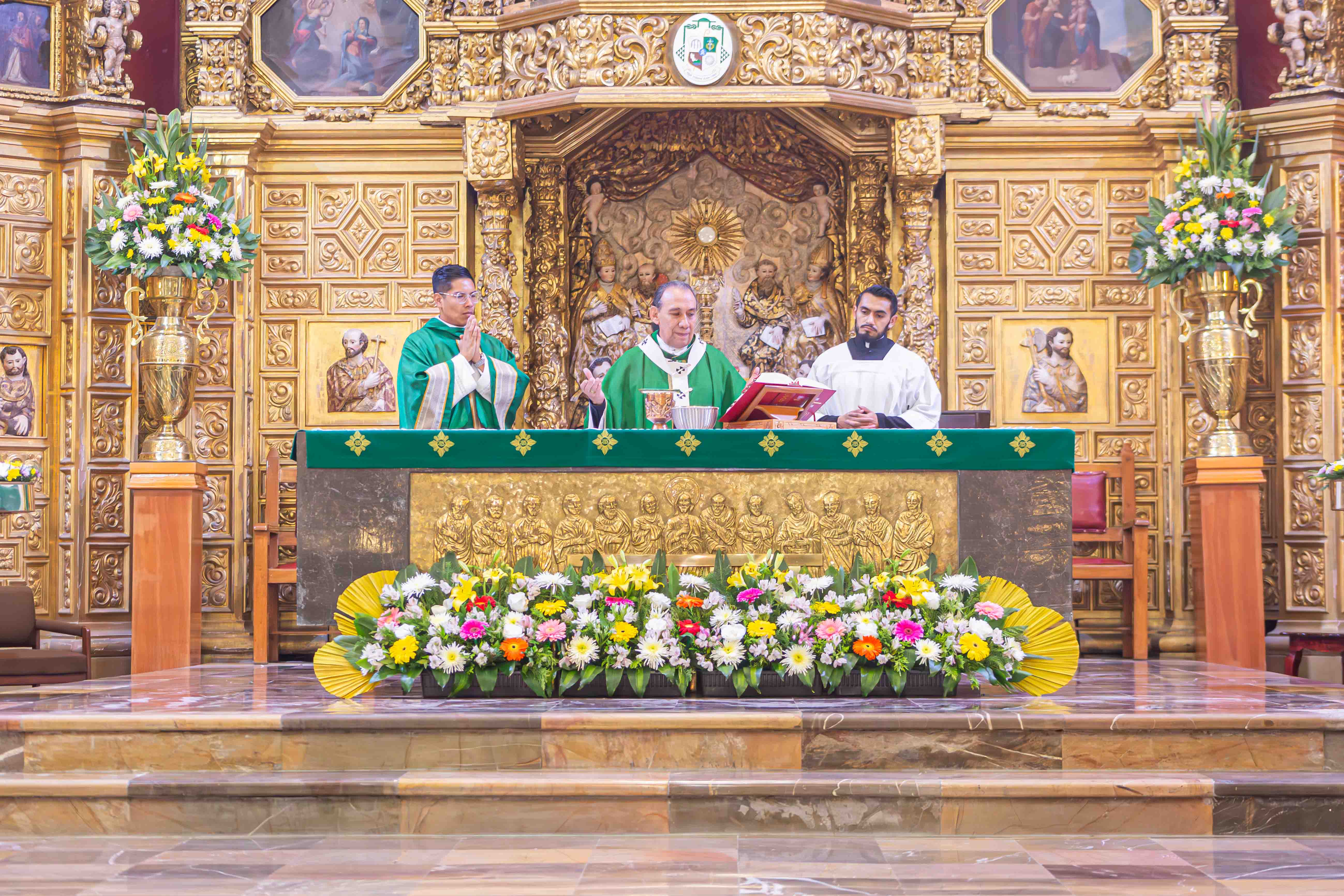 Homilía del 11 de Agosto del 2024