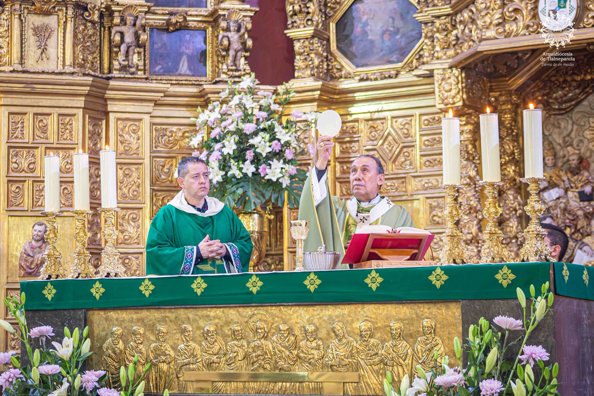HOMILÍA EN EL XV DOMINGO DEL TIEMPO ORDINARIO