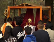 Juvenil 03